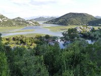 MNE, Cetinje, Skadarsko jezero at Karuc 6, Saxifraga-Tom Heijnen