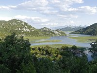 MNE, Cetinje, Skadarsko jezero at Karuc 7, Saxifraga-Tom Heijnen