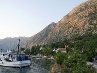 MNE, Kotor, Boka kotorska near Dobrota 4, Saxifraga-Tom Heijnen