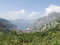 MNE, Kotor, Kotor to Kopito 1, Saxifraga-Tom Heijnen