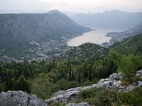 MNE, Kotor, Kotor to Kopito 4, Saxifraga-Tom Heijnen