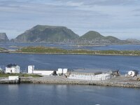 N, Finnmark, Nordkapp, Gjesvaer 1, Saxifraga-Willem van Kruijsbergen