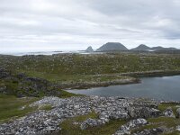 N, Finnmark, Nordkapp, Gjesvaer 17, Saxifraga-Willem van Kruijsbergen