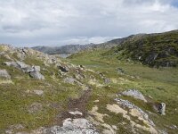 N, Finnmark, Nordkapp, Gjesvaer 26, Saxifraga-Willem van Kruijsbergen