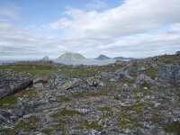 N, Finnmark, Nordkapp, Gjesvaer 35, Saxifraga-Willem van Kruijsbergen