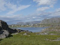 N, Finnmark, Nordkapp, Gjesvaer 45, Saxifraga-Willem van Kruijsbergen