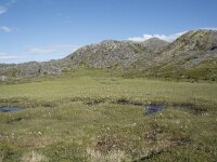 N, Finnmark, Nordkapp, Gjesvaer 48, Saxifraga-Willem van Kruijsbergen
