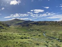 N, Finnmark, Nordkapp, Gjesvaer, Stortuva 10, Saxifraga-Willem van Kruijsbergen