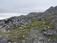 N, Finnmark, Nordkapp, Gjesvaer, Stortuva 5, Saxifraga-Willem van Kruijsbergen