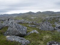 N, Finnmark, Nordkapp, Gjesvaer, Stortuva 6, Saxifraga-Willem van Kruijsbergen