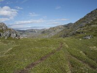 N, Finnmark, Nordkapp, Gjesvaer, Stortuva 9, Saxifraga-Willem van Kruijsbergen