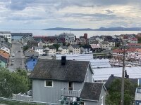 N, Finnmark, Nordkapp, Honningsvag 1, Saxifraga-Willem van Kruijsbergen