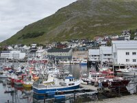 N, Finnmark, Nordkapp, Honningsvag 7, Saxifraga-Willem van Kruijsbergen