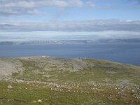 N, Finnmark, Nordkapp, Honningsvag, Storfjellet 12, Saxifraga-Willem van Kruijsbergen