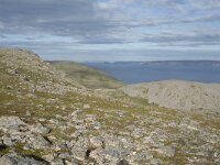 N, Finnmark, Nordkapp, Honningsvag, Storfjellet 13, Saxifraga-Willem van Kruijsbergen