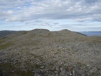 N, Finnmark, Nordkapp, Honningsvag, Storfjellet 6, Saxifraga-Willem van Kruijsbergen