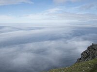 N, Finnmark, Nordkapp, Nordkapp 26, Saxifraga-Willem van Kruijsbergen