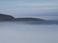 N, Finnmark, Nordkapp, Nordkapp 43, Saxifraga-Willem van Kruijsbergen