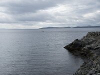 N, Finnmark, Nordkapp, Nordvagen 1, Saxifraga-Willem van Kruijsbergen