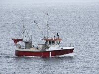 N, Finnmark, Nordkapp, Nordvagen 10, Saxifraga-Willem van Kruijsbergen