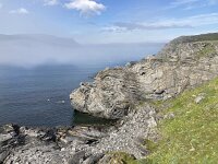 N, Finnmark, Nordkapp, Skarsvag 3, Saxifraga-Willem van Kruijsbergen