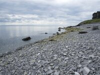 N, Finnmark, Porsanger, Russenes 10, Saxifraga-Willem van Kruijsbergen