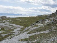 N, Finnmark, Porsanger, Trollholmsund 12, Saxifraga-Willem van Kruijsbergen