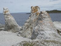 N, Finnmark, Porsanger, Trollholmsund 18, Saxifraga-Willem van Kruijsbergen