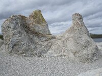 N, Finnmark, Porsanger, Trollholmsund 20, Saxifraga-Willem van Kruijsbergen