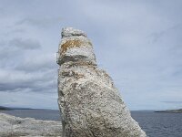 N, Finnmark, Porsanger, Trollholmsund 21, Saxifraga-Willem van Kruijsbergen