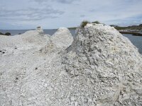 N, Finnmark, Porsanger, Trollholmsund 32, Saxifraga-Willem van Kruijsbergen