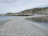 N, Finnmark, Porsanger, Trollholmsund 36, Saxifraga-Willem van Kruijsbergen