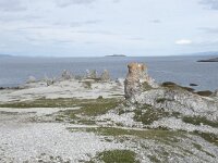 N, Finnmark, Porsanger, Trollholmsund 9, Saxifraga-Willem van Kruijsbergen