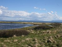 N, Finnmark, Sor Varanger, Varangerfjord 14, Saxifraga-Dirk Hilbers