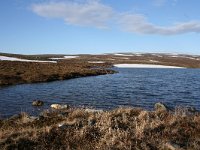 N, Finnmark, Sor Varanger, Varangerfjord 3, Saxifraga-Dirk Hilbers