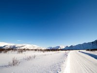 N, Finnmark, Tana, Tanamunningen 3, Saxifraga-Bart Vastenhouw