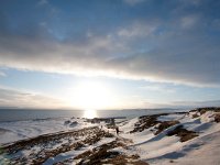 N, Finnmark, Vadso, Ekkeroy 4, Saxifraga-Bart Vastenhouw