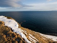 N, Finnmark, Vadso, Ekkeroy 5, Saxifraga-Bart Vastenhouw