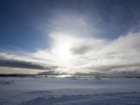 N, Finnmark, Vadso, Ekkeroy 8, Saxifraga-Bart Vastenhouw