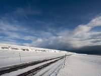 N, Finnmark, Vadso, Ekkeroy 9, Saxifraga-Bart Vastenhou