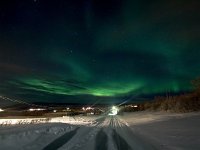 N, Finnmark, Varangerbotn, Meskelv 1, Saxifraga-Bart Vastenhouw