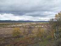 N, Innlandet, Dovre, Valasjoen 22, Saxifraga-Annemiek Bouwman