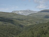 N, Innlandet, Lesja, Sladalsvegen 11, Saxifraga-Willem van Kruijsbergen