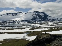 N, Innlandet, Lom, Fanarakbreen 4, Saxifraga-Willem van Kruijsbergen