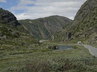 N, Innlandet, Lom, Leirdalen 3, Saxifraga-Willem van Kruijsbergen