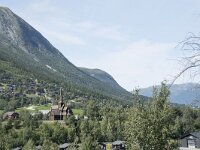 N, Innlandet, Lom, Lom 2, Saxifraga-Willem van Kruijsbergen