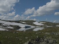 N, Innlandet, Lom, Sognefjellet 13, Saxifraga-Jan van der Straaten