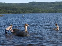 N, Innlandet, Nord-Odal, Austvatn 4, Saxifraga-Jan van der Straaten