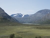 N, Innlandet, Oystre Slidre, Valdresflya 18, Saxifraga-Willem van Kruijsbergen