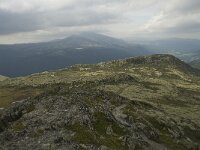 N, Innlandet, Sel, Anaripiggen 3, Saxifraga-Willem van Kruijsbergen